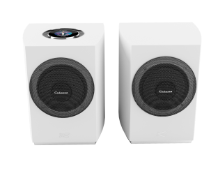 Cabasse Rialto Kabelloses Smartes Stereo HiFi System Paar 