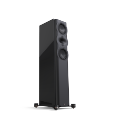 Perlisten Audio r5t Standlautsprecher Stückpreis 