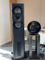 morepic-6